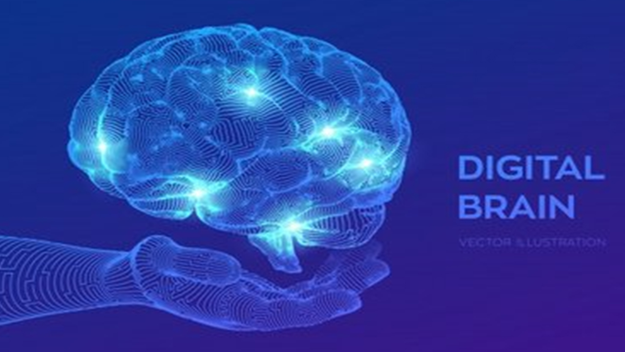 新型腦機接口最新臨床前神經(jīng)數(shù)據(jù)公布